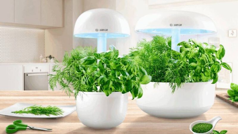 Digital Gardening – der Indoor-Kräutergarten