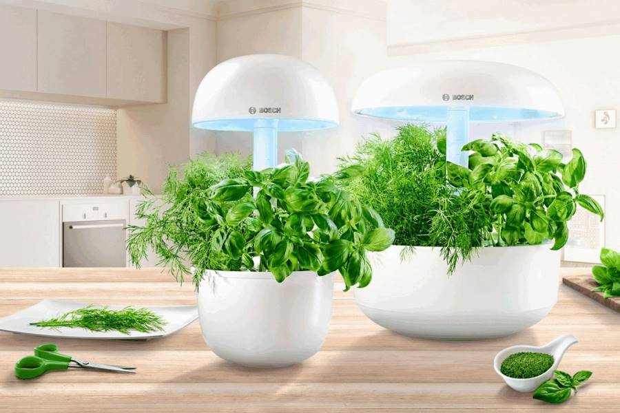Digital Gardening – der Indoor-Kräutergarten