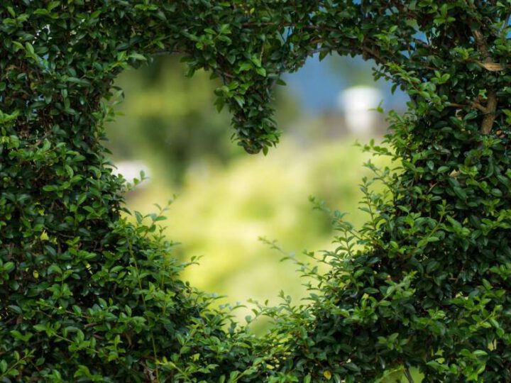 Garten – das neue Naturbewusstsein