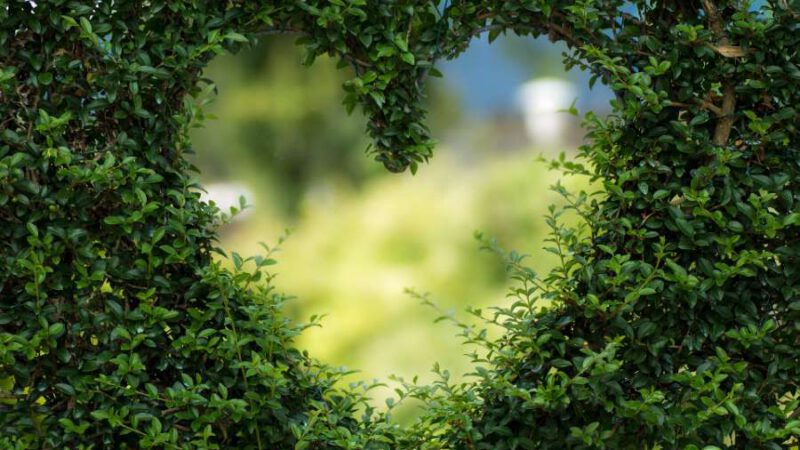 Garten – das neue Naturbewusstsein