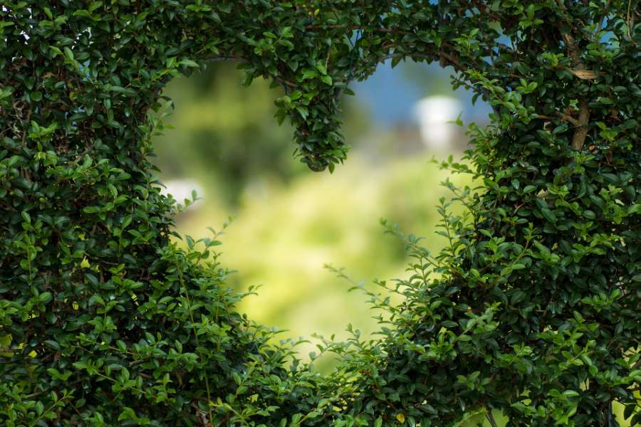 Garten – das neue Naturbewusstsein