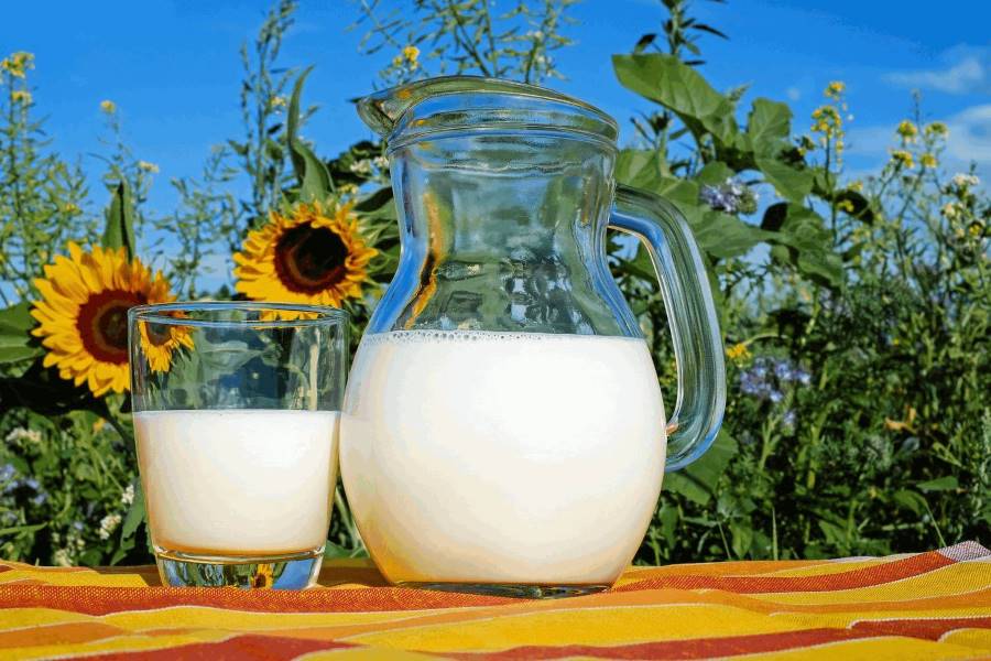 Pflanzendrinks – wie gesund sind die Milch-Alternativen?